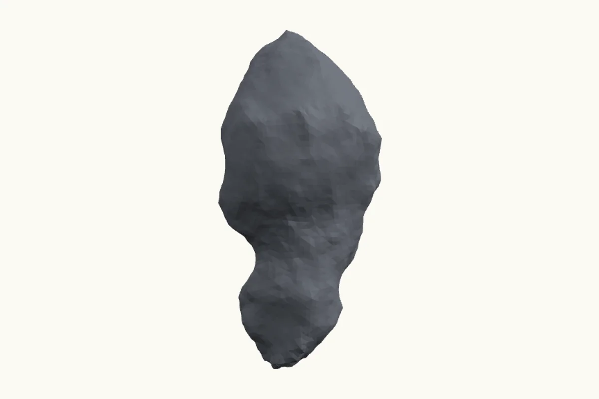 Asteroid Toutatis